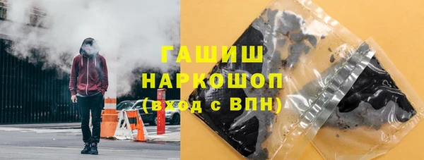 гидра Богданович