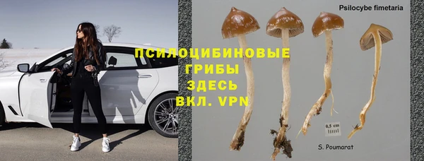 винт Беломорск