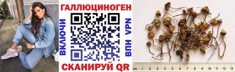 Псилоцибиновые грибы MAGIC MUSHROOMS  сколько стоит  это телеграм  Богучар  кракен зеркало 